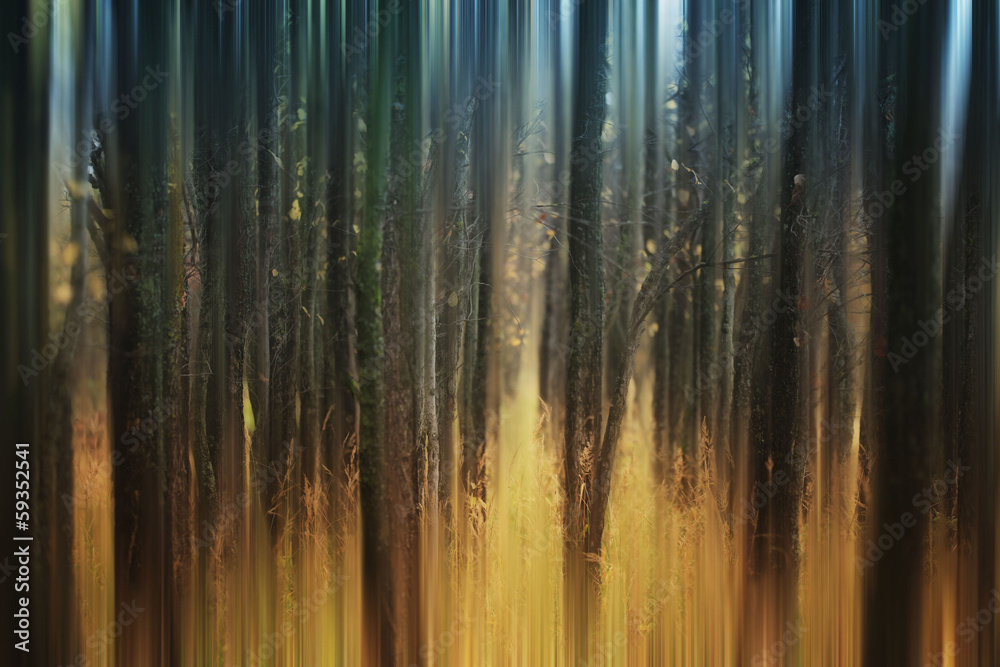 Fototapeta Abstrakcyjny jesienny las
