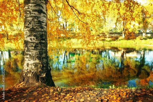 Autumn at the pond park