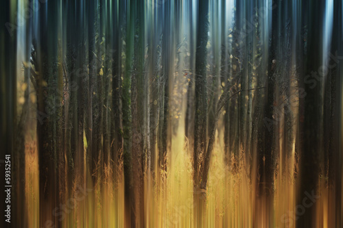 abstract blurred autumn forest © kichigin19