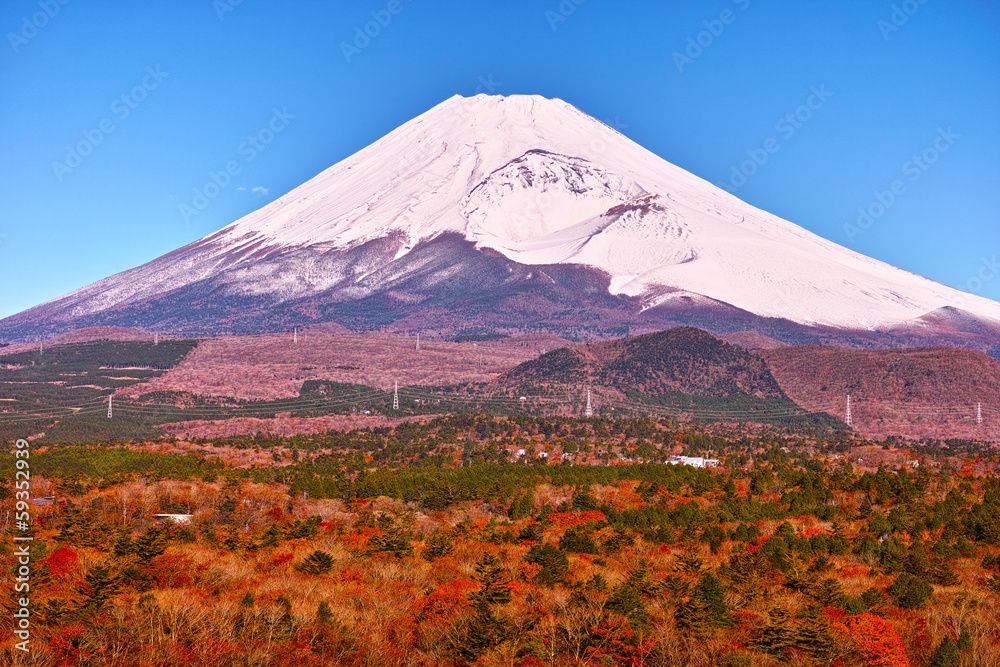 Fototapeta premium 十里木別荘地の紅葉と富士山