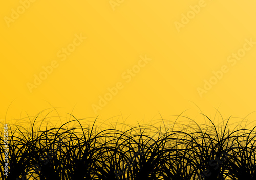 Tropical exotic jungle grass and plants detailed silhouettes lan
