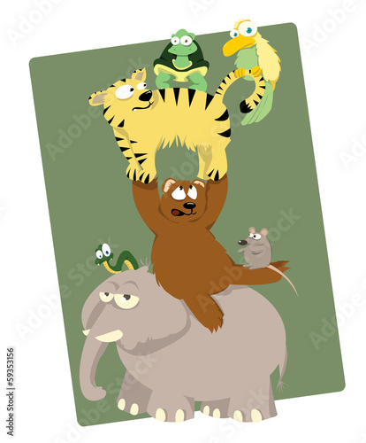 Funny Animals