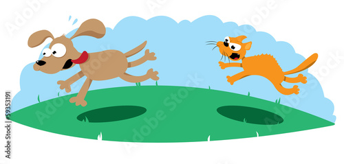 Angry Cat Hunting a Dog