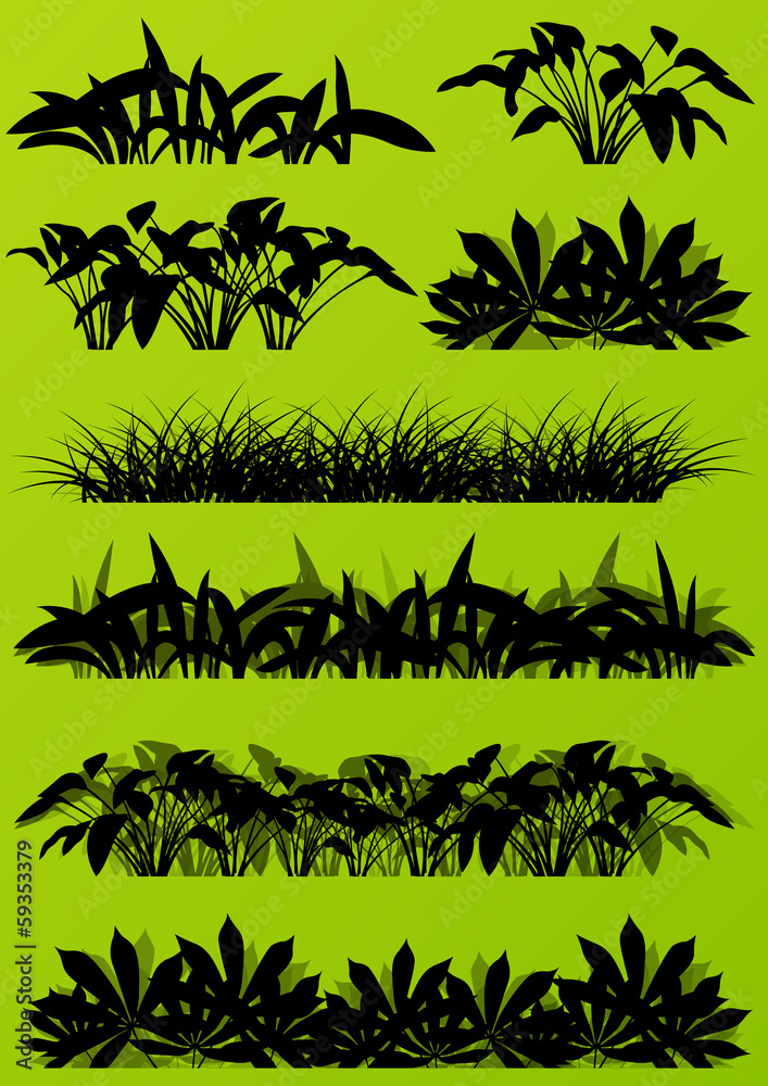 Fototapeta premium Tropical exotic jungle grass and plants detailed silhouettes lan