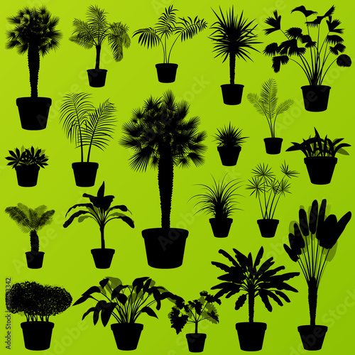 Exotic jungle bushes grass, reed, palm tree wild plants set vect