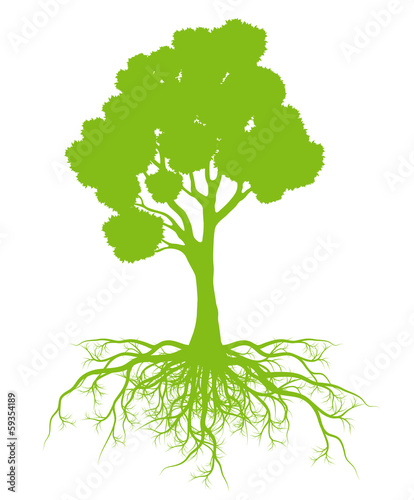 Tree with roots background ecology vector concept card