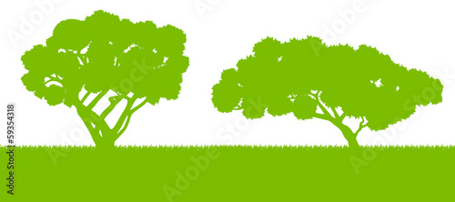 Forest trees silhouettes landscape illustration background vecto