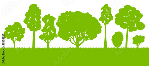 Forest trees silhouettes landscape illustration background vecto
