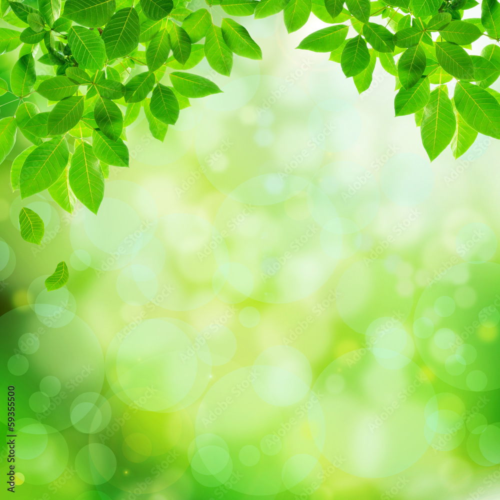 Green natural abstract background Green natural abstract background