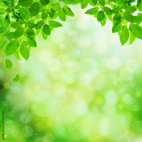Green natural abstract background