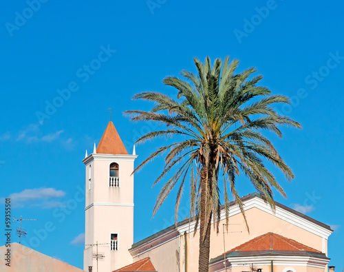 belltower with palm