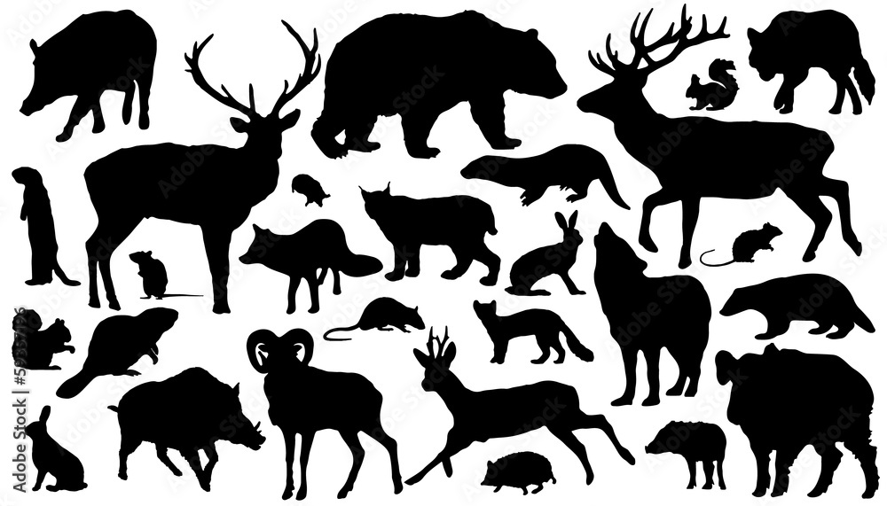 Naklejka premium forest_animal_silhouettes