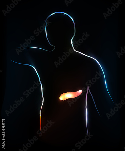Pancreas. Abstract medical illustration, background.