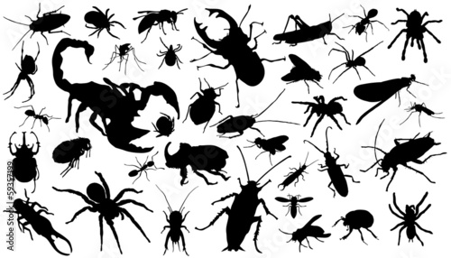 insect_silhouettes © jan stopka