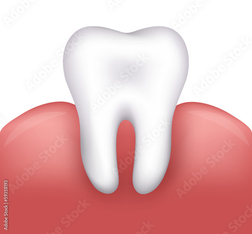 Beautiful healthy tooth and gums. Dental illustration.
