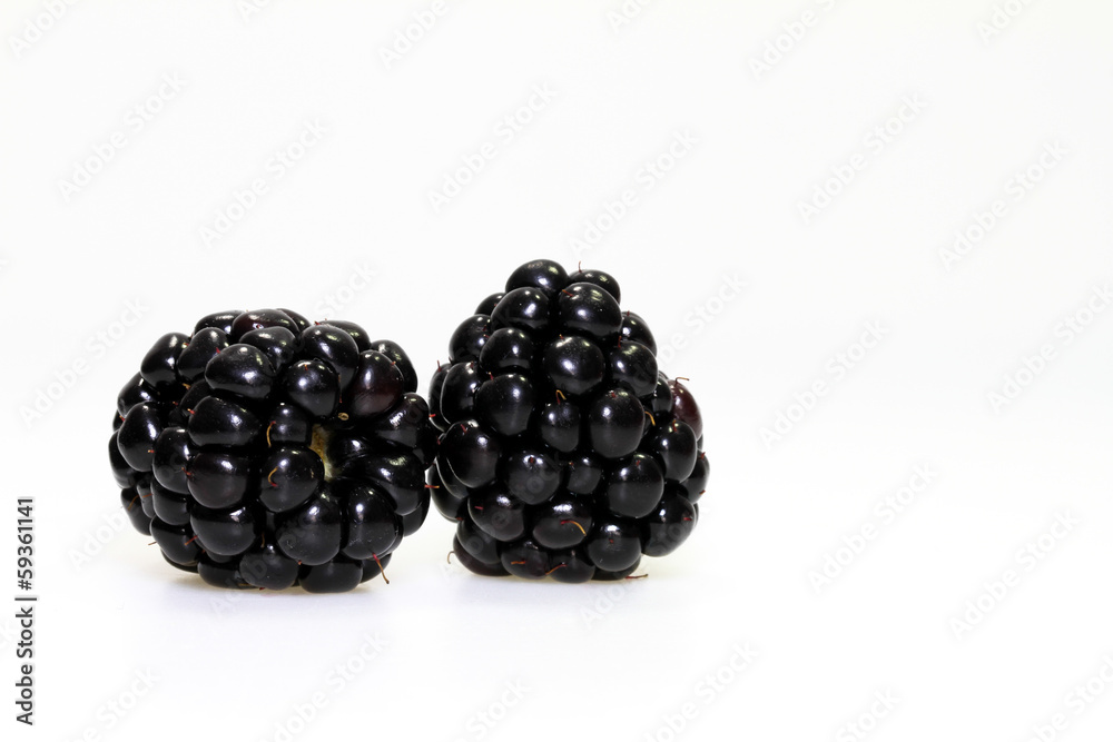 Reife Brombeeren Reife Brombeeren