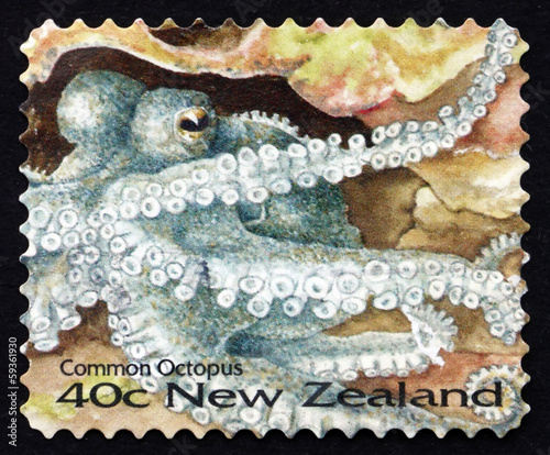 Postage stamp New Zealand 1996 Common Octopus, Sea Animal