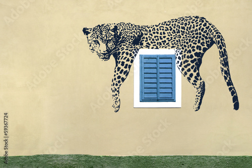Shadows on the colored wall with windows