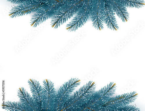 Christmas background with fir branches. Vector illustration