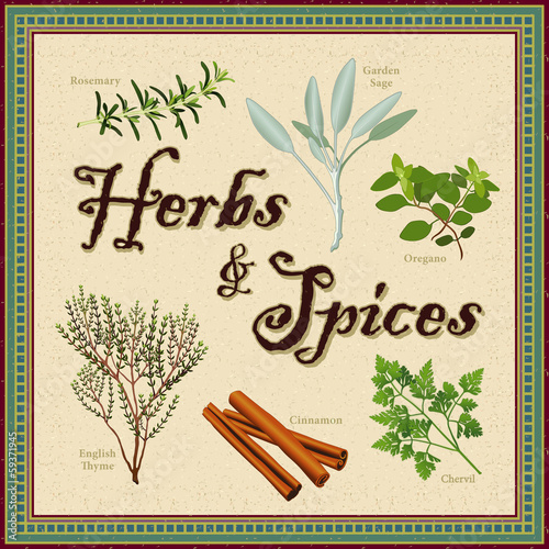 Herbs - Spice, Rosemary, Sage, Chervil, Cinnamon, Thyme, Oregano photo