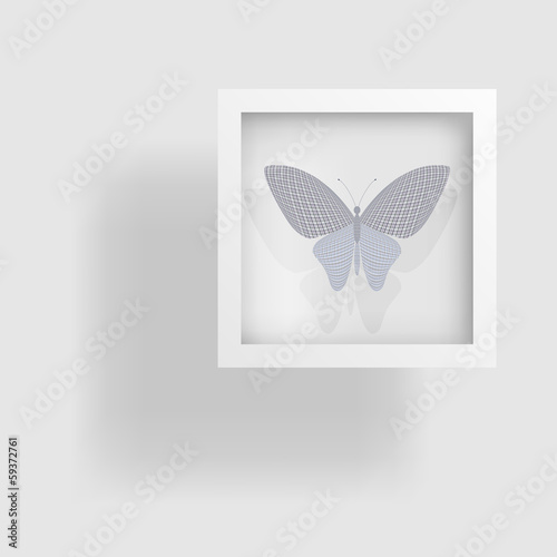 butterfly in the picture and its reflection