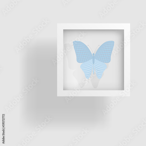 butterfly in the picture and its reflection
