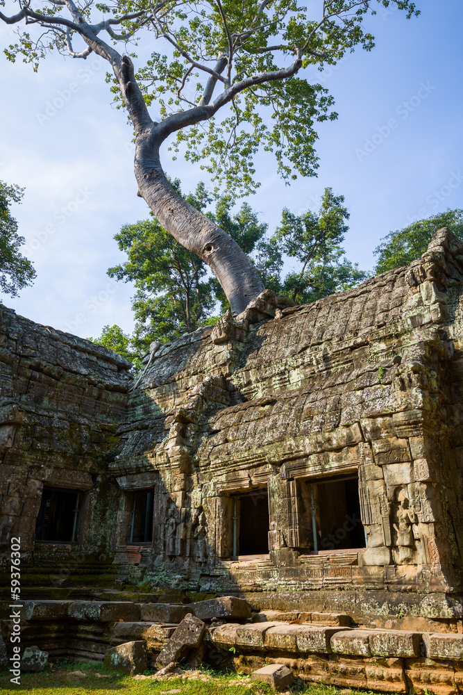 Fototapeta premium Ruiny świątyni Ta Prohm w Kambodży