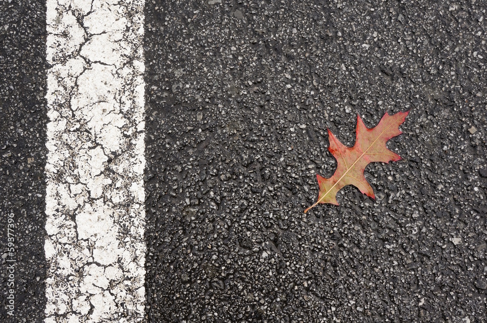 Hintergrund asphaltierte Strasse im Herbst Hintergrund asphaltierte Strasse im Herbst
