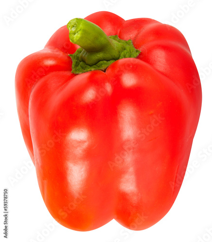 pepper isolated photo