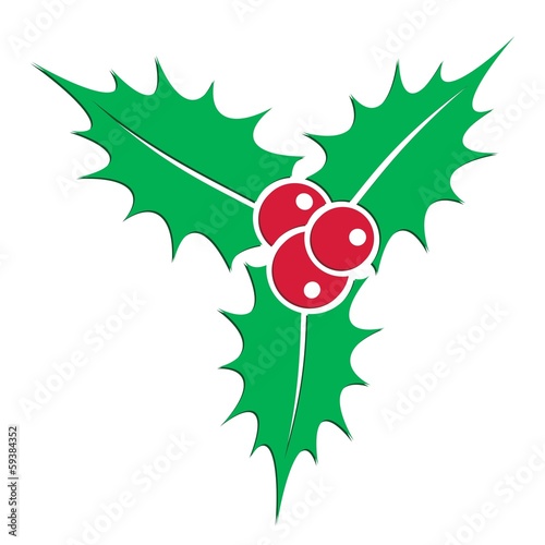 Holly berry plant
