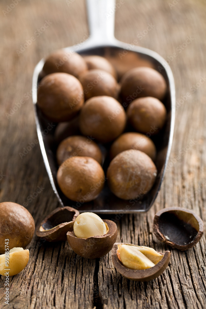 macadamia nuts on scoop macadamia nuts on scoop