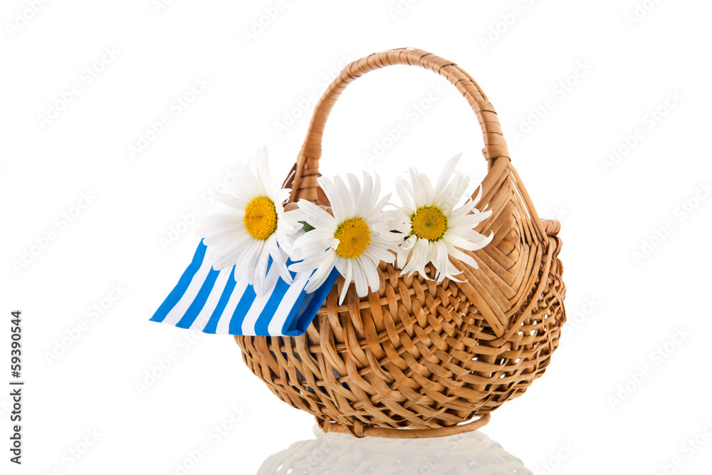White daisies in wicker basket