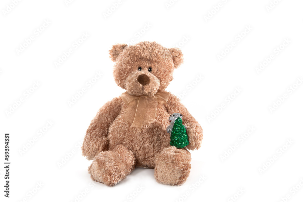 Fluffy teddy bear isolated on white