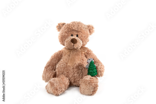 Fluffy teddy bear isolated on white