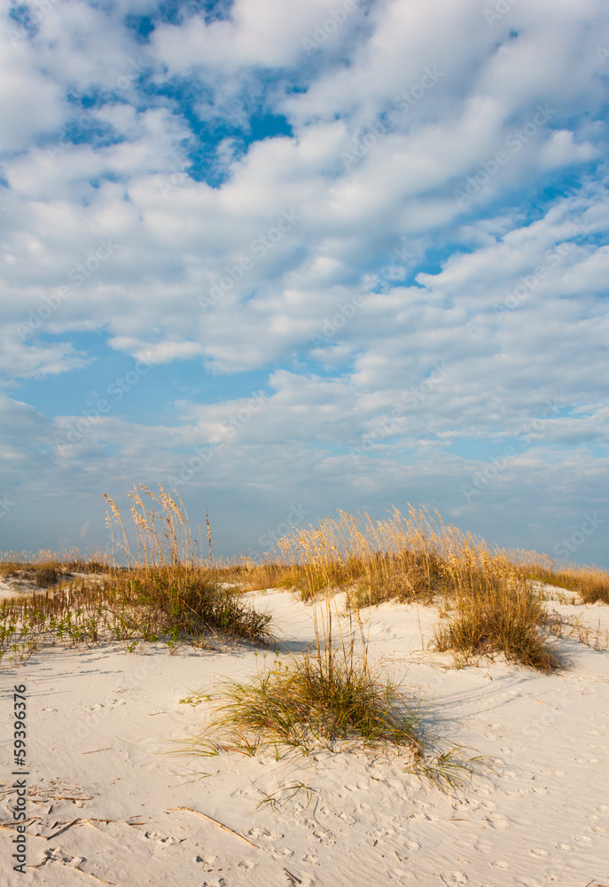 sand dunes and sea oats on a sunny day