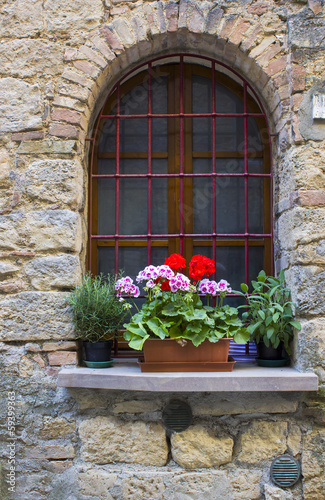 lovely tuscan window, Volterra, Italy © Mira Drozdowski