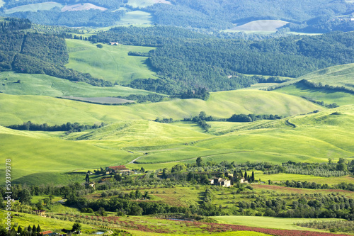 Green typical tuscan landscape in spring time