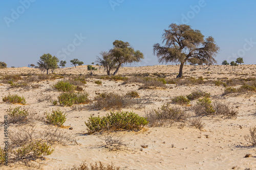  Arabian desert