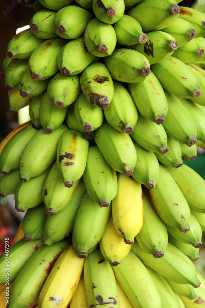 big bunch of bananas