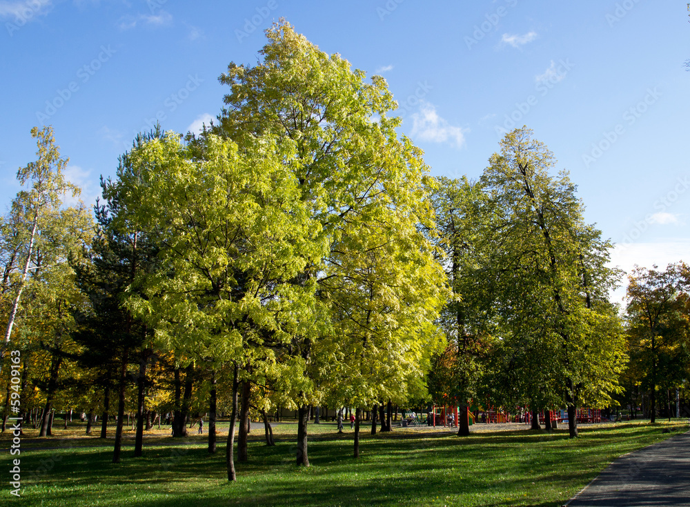Naklejka premium Park in the fall