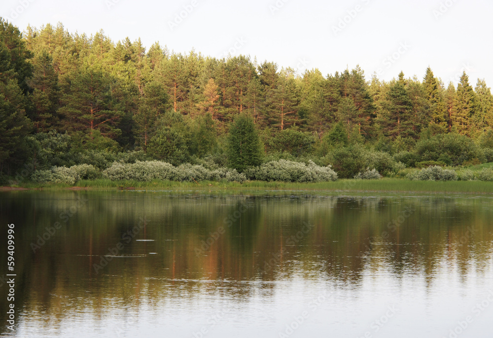 shore of Lake