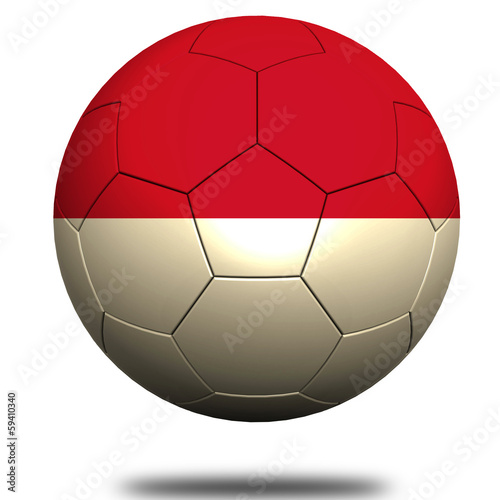Indonesia soccer