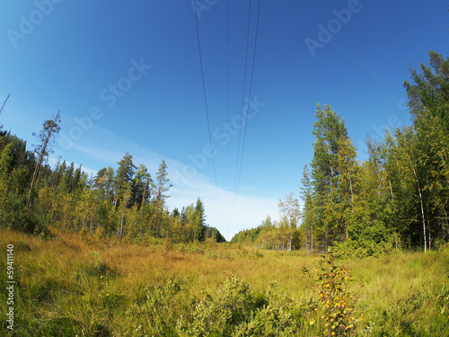 power line in the woods © enskanto