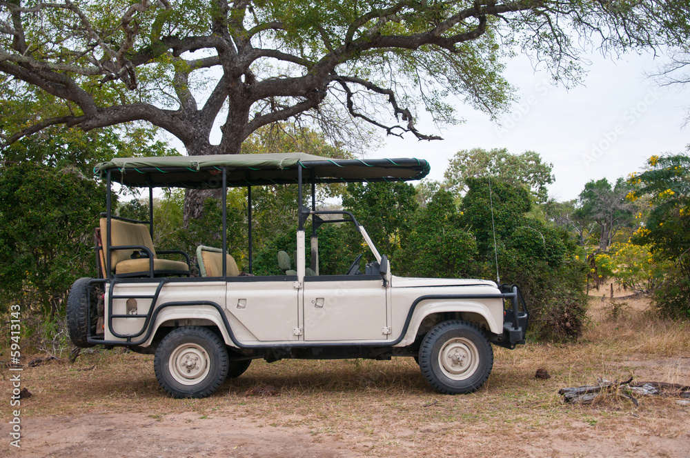 Fototapeta premium safari car parking in the national park selous game reserve