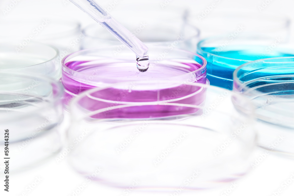 Pipette with drop of color liquid and petri dishes Pipette with drop of color liquid and petri dishes