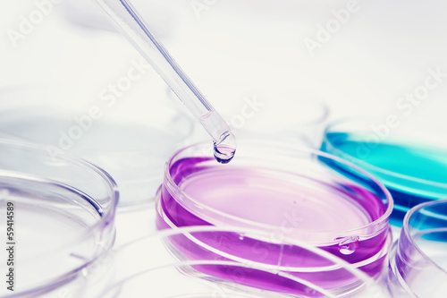 Pipette with drop of color liquid and petri dishes