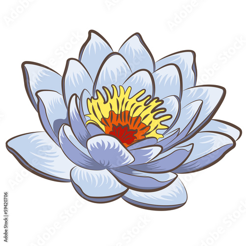 Fototapeta Naklejka Na Ścianę i Meble -  Lotus flower