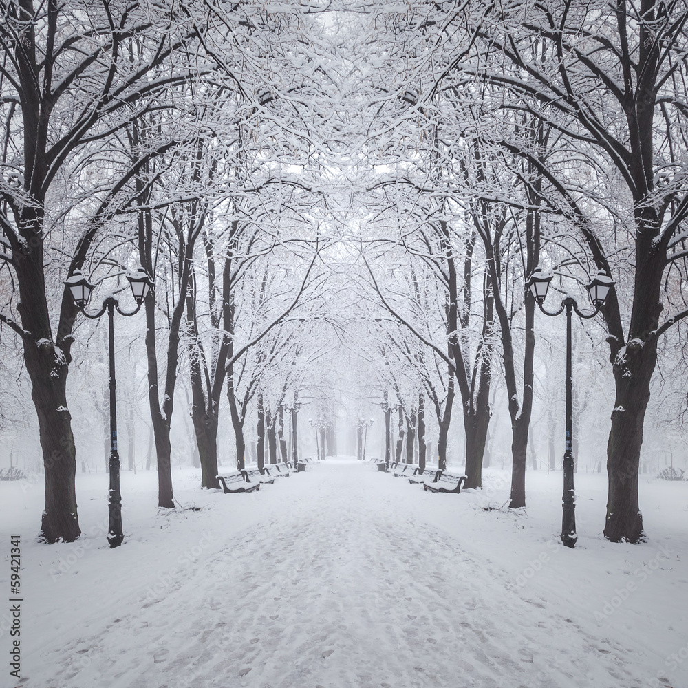 footpath in a fabulous winter city park footpath in a fabulous winter city park