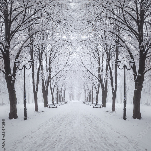 footpath in a fabulous winter city park