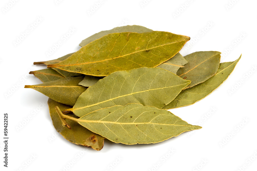 bay leafs isolated on white